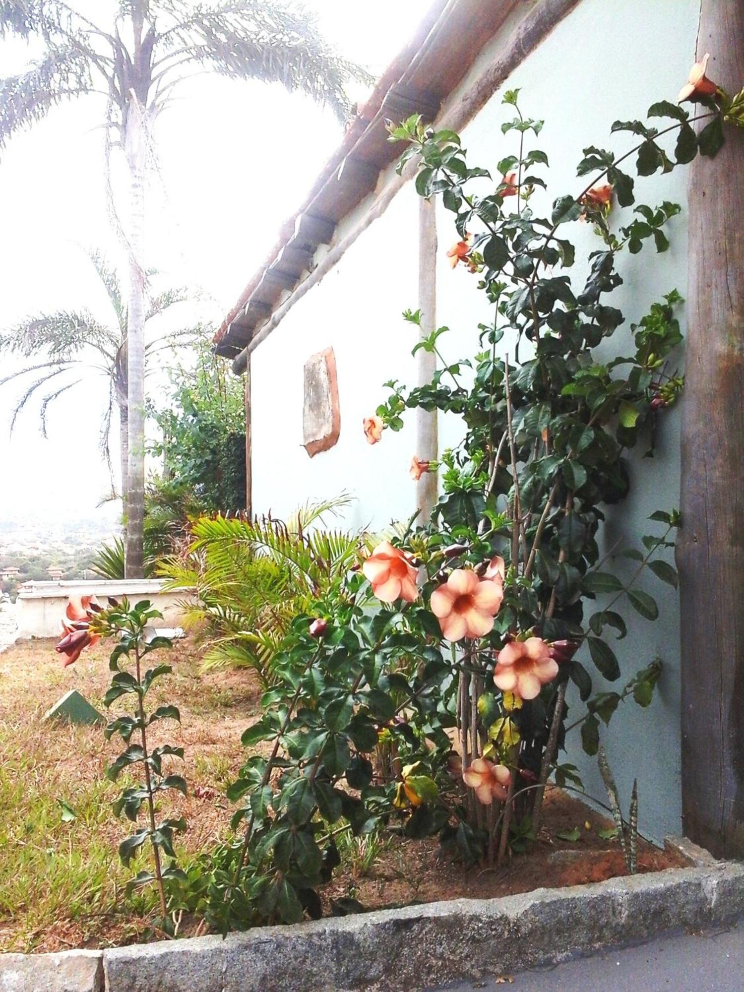 Bella Vista Eco Experience