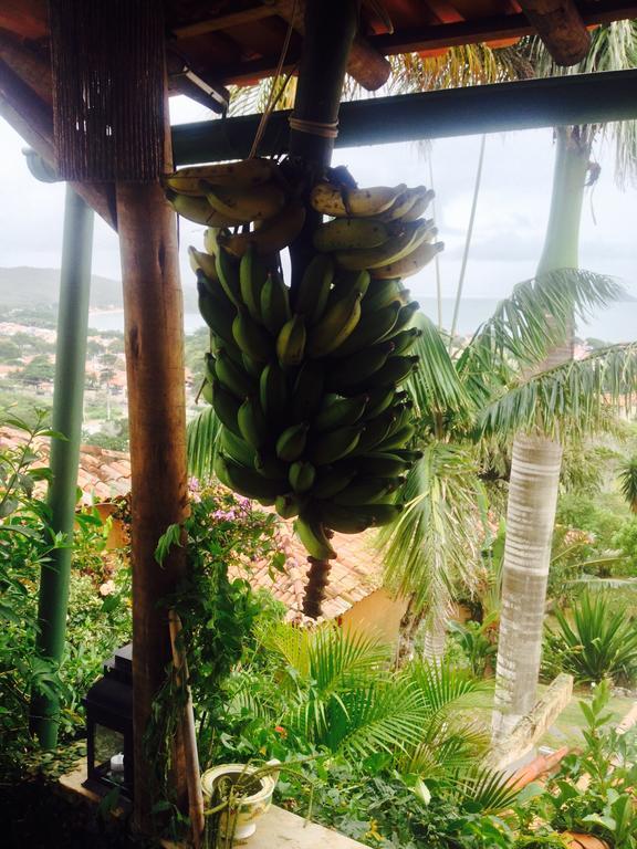 Bella Vista Eco Experience